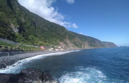 Lazy Lizard by the Ocean - Foto 49