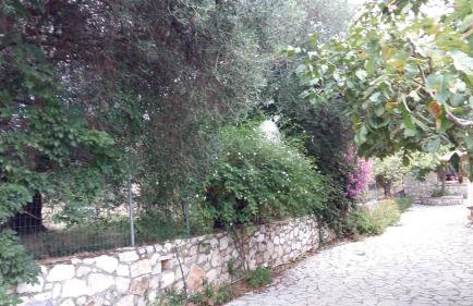 The Stone House-Zacharatos Nikolaos - Photo 3