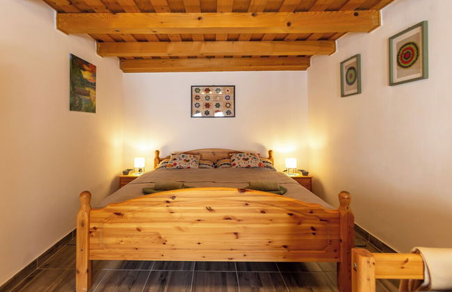 The Bird of Happiness-heaven for Dogs - Foto 5