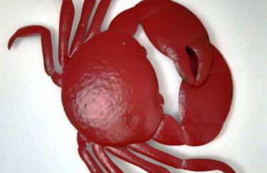 Villa De Meere Whg 8 - Foto 22