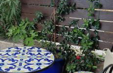 Bonvivan House - Photo 34