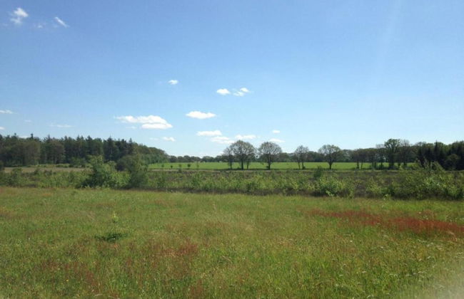 Lodge by Dutch Meadows With Scenic Veranda - Photo 40