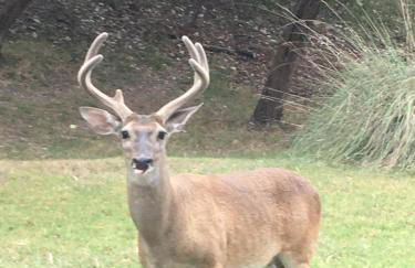 Perfect Country-Side Get-Away - Photo 38