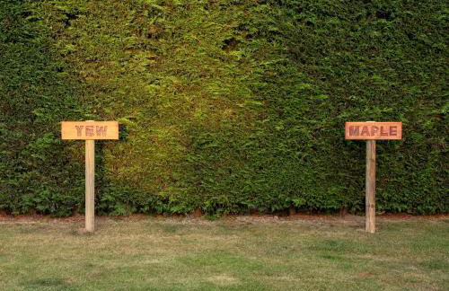 Maple Lodge Quirky Salvaged Railway Carriage with Hot Tub - Foto 26