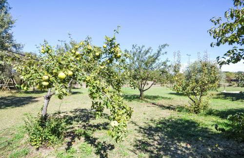 Holiday Home L'Oliveraie by Interhome - Foto 45