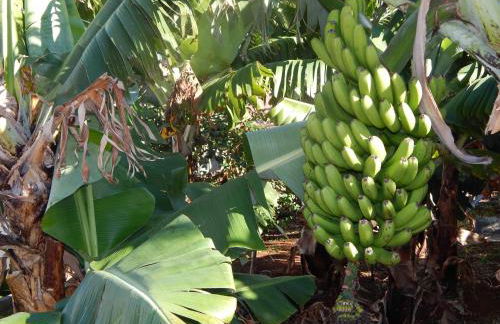 Villas Madalena Chalets vista mar cWiFi - Foto 18