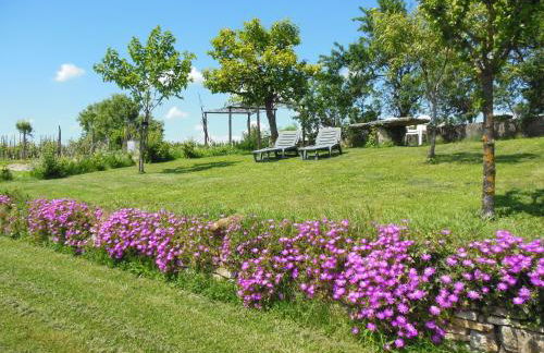 Agriturismo Affittacamere Barbarossa - Foto 20