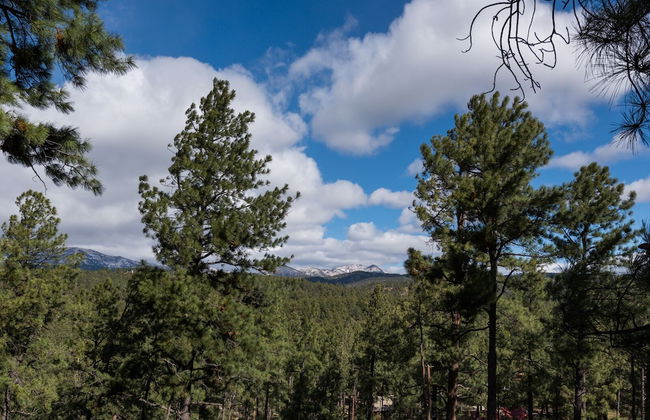 Aurora Montealis - Foto 16