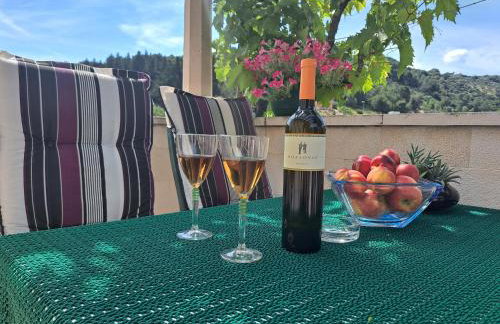 Apartments DARIJA & PERO - Foto 73