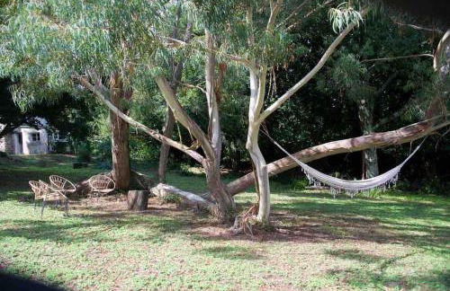 Site exceptionnel accès mer grands espaces - Foto 54