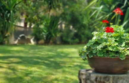 Agriturismo Le Sughere - Foto 32