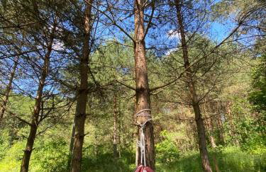 Ostoja Miłolas - Foto 36