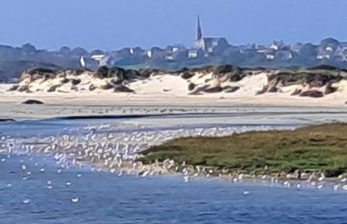 Mobil home Louisiane - Foto 9