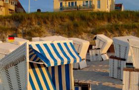 Hund im Glück - Foto 14