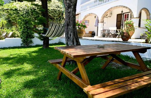 Gina Studios - Foto 34