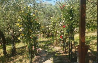 Casa Vacanze L'Oliveta - Foto 11