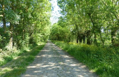 Pergoloire - Photo 17