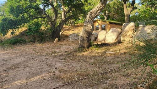 La RoseDan - Foto 4, Garden view