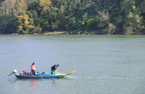 Casa do Mestrinho - Foto 50
