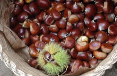 Casavacanze Ciaspole E Uva - Foto 75