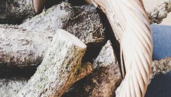 THE HAYLOFT at Sunny Brow Farm - Photo 4