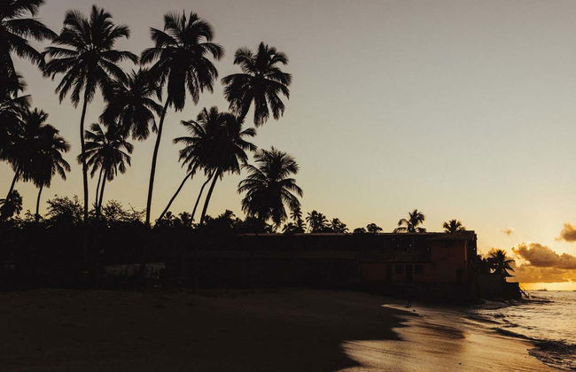 Excursion à la plage de Maragogi - Photo 6