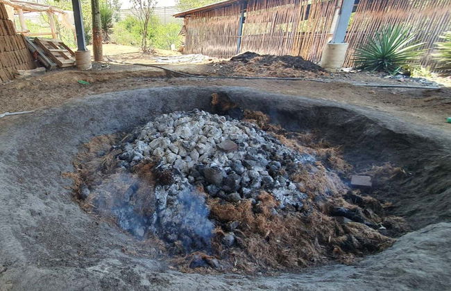 Mezcal Tour of Santa Catarina Minas - Foto 8