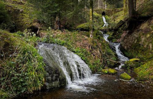 Sagenhafter Ausblick - Foto 30
