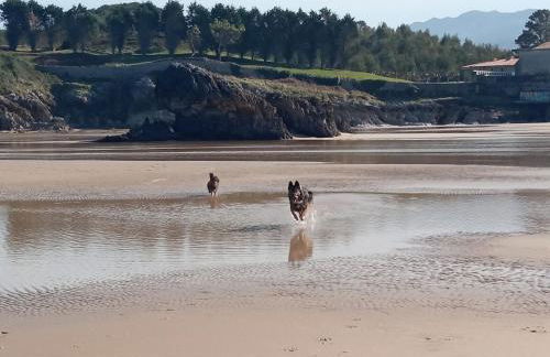 El barco de Barro - Foto 48