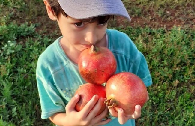Agriturismo Masseria Galatea - Photo 13