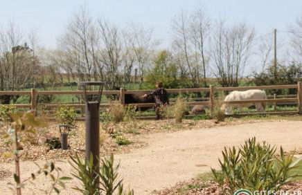 Domaine de Kerantroad - Foto 24