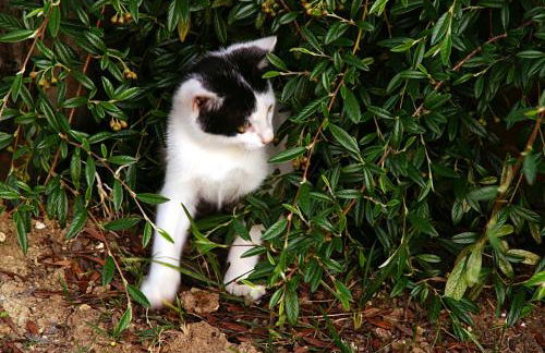 L'Orso e L'Ape B&B - Foto 42