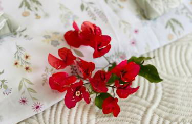 Costa del Sol Marina - Foto 22