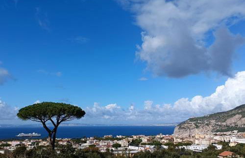 La Pigna Sorrento - Foto 10