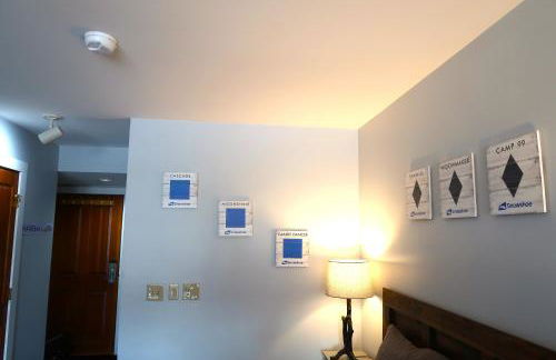 Snowshoe Mountain Studio! Renovated! - Foto 22