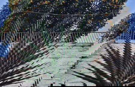 Red House by the River - Foto 9