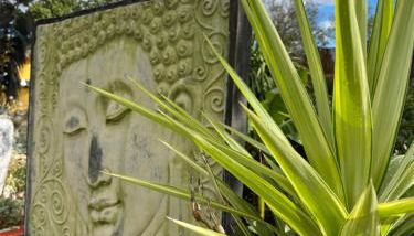 Les Mazets du coulicot - Foto 5