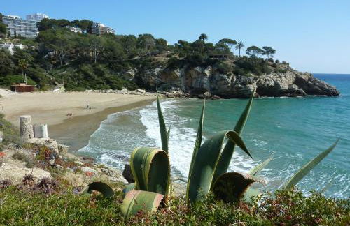 Jacqueline - Foto 42