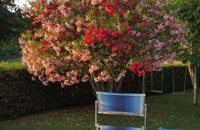 Podere Lo Stringaio - Foto 32