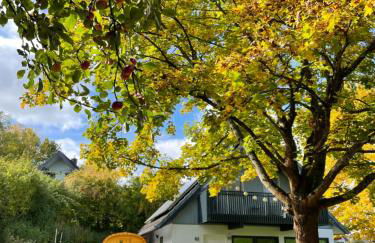 All inclusive Ferienhaus JULYN , Seepark - Photo 4