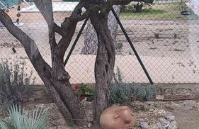 Villa Mediterranean, piscina privada, barbacoa. - Foto 25