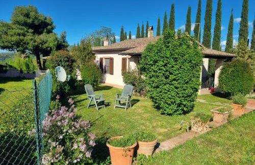 Agriturismo TERRANERA - Foto 14