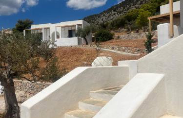 Villa Miza - Foto 50