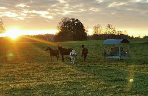 Biohof Neihausmo - Foto 25