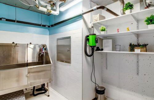 Downtown 1br w wd gym nr Greenway BOS-832 - Foto 24