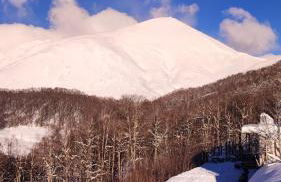 Attico Stella Alpina - Foto 36