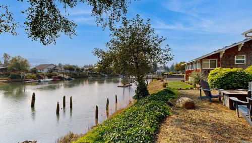 River Otter - Foto 5