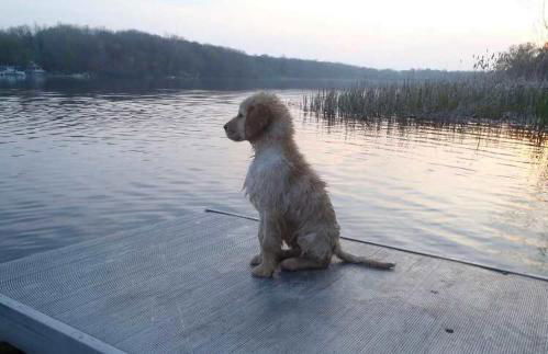 Lakefront Fishing With Hot Tub and Kayaks - Foto 10