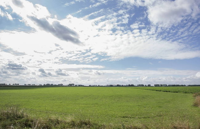 Boutique Apartment in Ritthem With Terrace - Photo 32