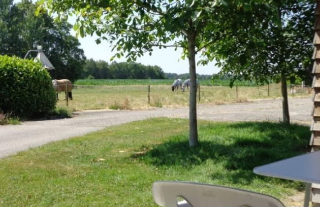 Farmhouse in Fochteloo Near National Park - Foto 39